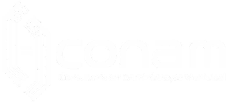 Conam Consultoria